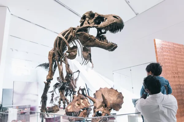 🏛️ Gratuit - Musée ROM Toronto - le 01 juillet